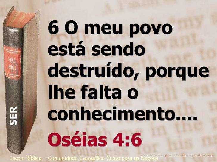 ESTUDO,ESBOLSO,BIBLIA,