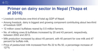Primer on dairy sector in Nepal (Thapa et
al 2016)
• Livestock contributes one-third of total ag GDP of Nepal.
• Among liv...
