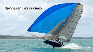 Spinnaker - les origines