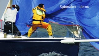 Spinnaker - demo