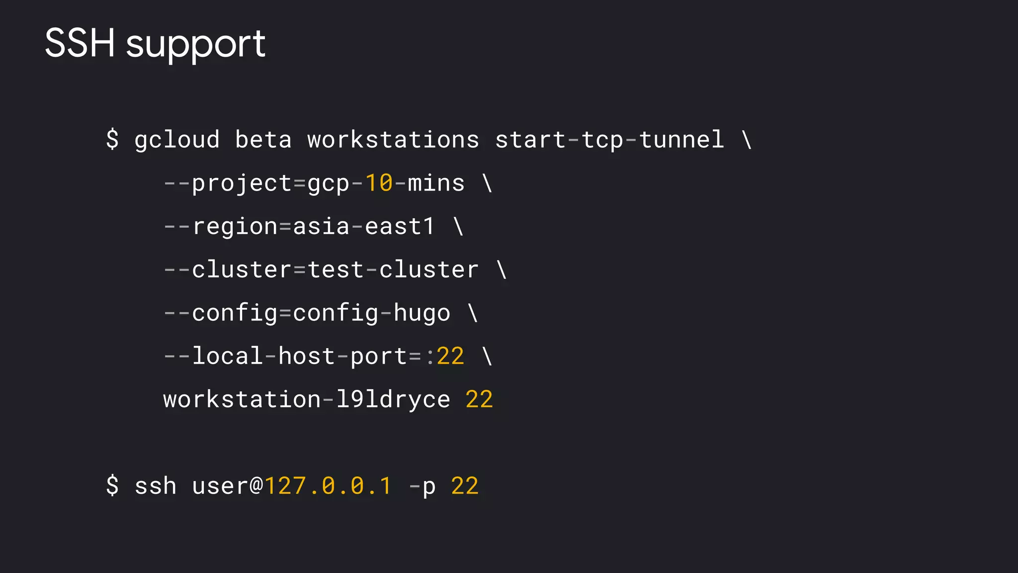 $ gcloud beta workstations start-tcp-tunnel 
--project=gcp-10-mins 
--region=asia-east1 
--cluster=test-cluster 
--config=config-hugo 
--local-host-port=:22 
workstation-l9ldryce 22
$ ssh user@127.0.0.1 -p 22
SSH support
 