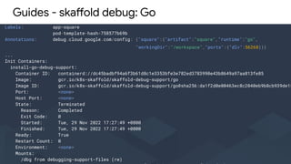 Guides - skaffold debug: Go
Labels: app=square
pod-template-hash=758577b69b
Annotations: debug.cloud.google.com/config: {"...