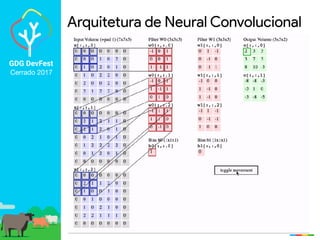 GDG DevFest
Cerrado 2017
Arquitetura de Neural Convolucional
 