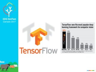GDG DevFest
Cerrado 2017
 