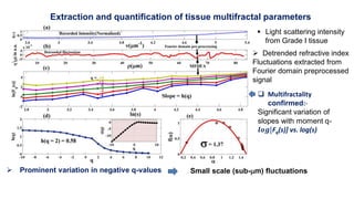 Extraction and quantification of tissue multifractal parameters
 Light scattering intensity
from Grade I tissue
 Detrend...