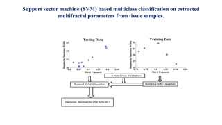 Support vector machine (SVM) based multiclass classification on extracted
multifractal parameters from tissue samples.
 