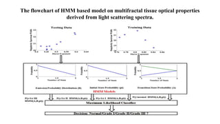 The flowchart of HMM based model on multifractal tissue optical properties
derived from light scattering spectra.
 