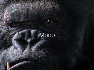 Mono
 