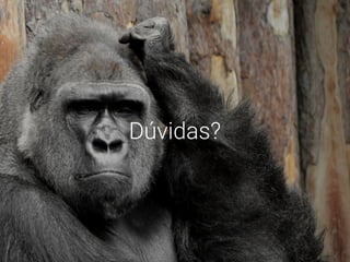 Dúvidas?
 