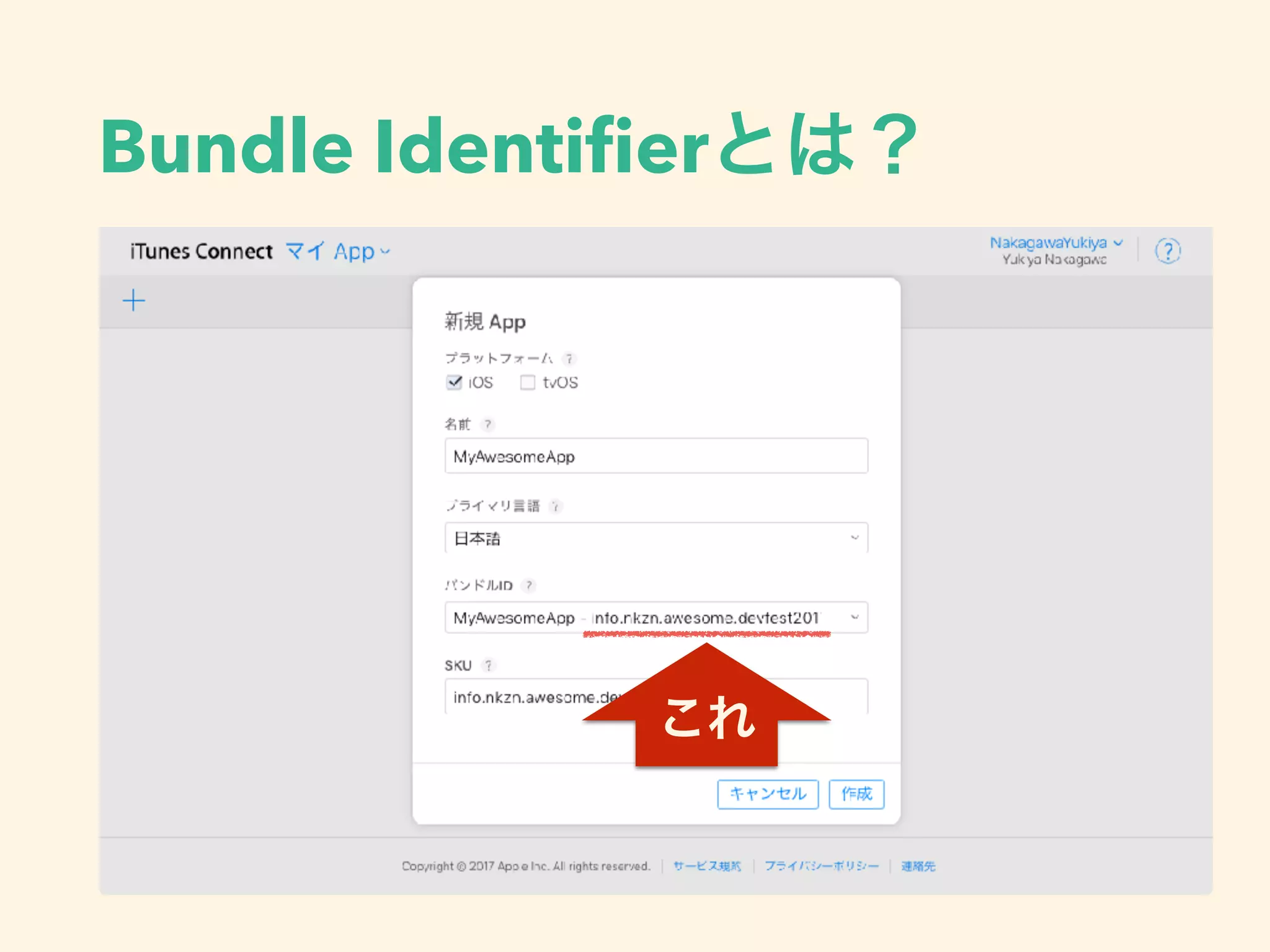 Bundle Identiﬁer
 