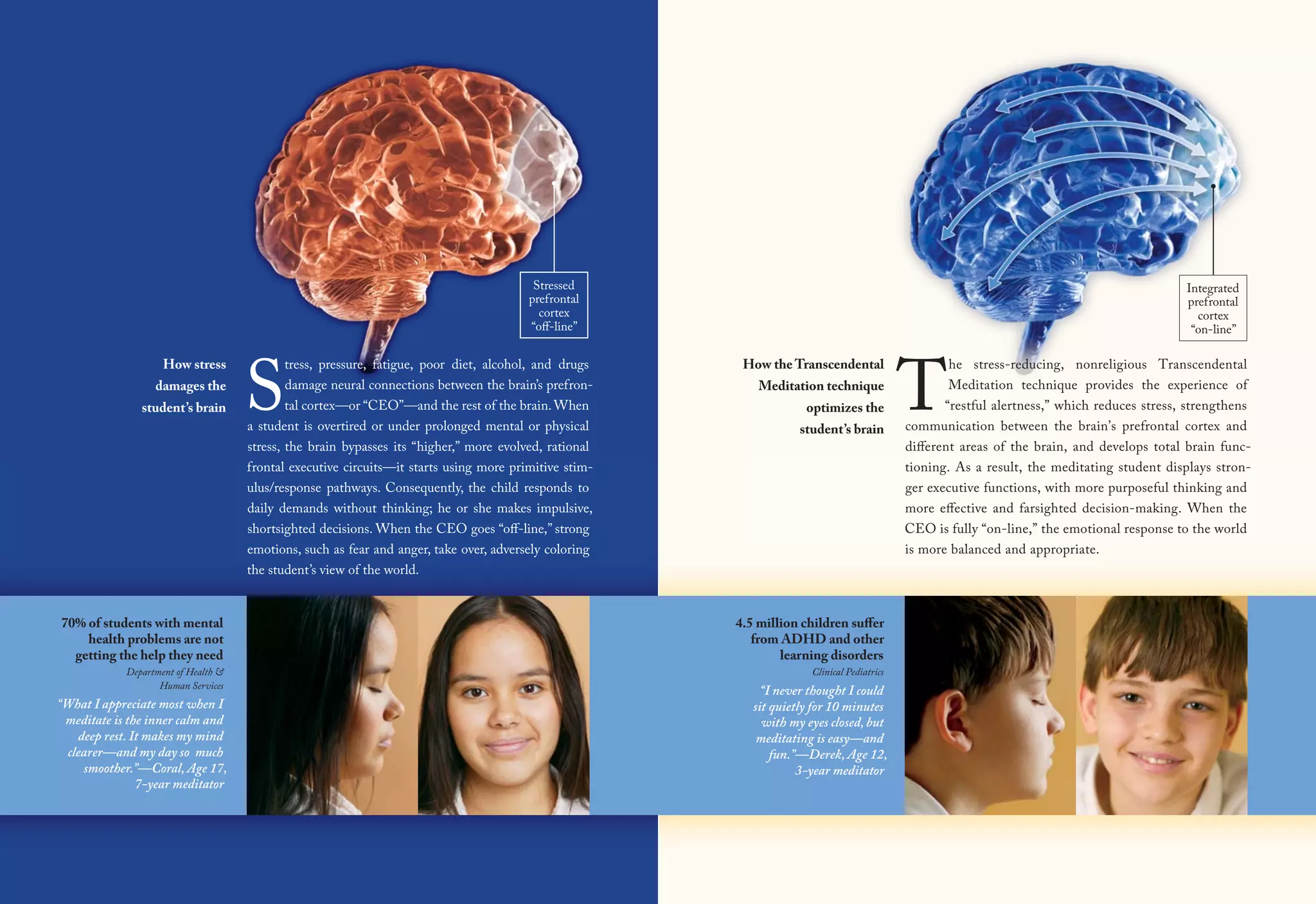 Devg Tot Brn F Acad Exceln Lynch