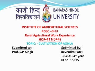INSTITUTE OF AGRICULTURAL SCIENCES
RGSC –BHU
Rural Agricultural Work Experience
HOR-411(0+4)
TOPIC: - CULTIVATION OF AONLA
Submitted to: - Submitted by: -
Prof. S.P. Singh Devendra Patel
B.Sc AG 4th year
ID no. 15315
 