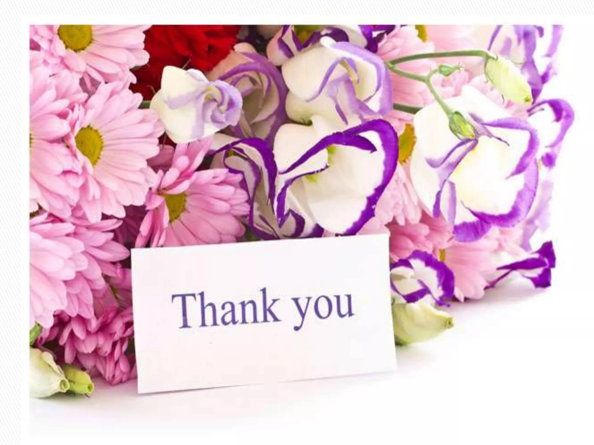 Basic Of Search Engine Optimization