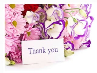 Basic Of Search Engine Optimization