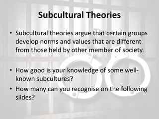 Deviance culture of the gang | PPT
