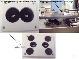 Polypropylene stage with rubber cushion Upside down Polypropylene stage holder + piezo stage 