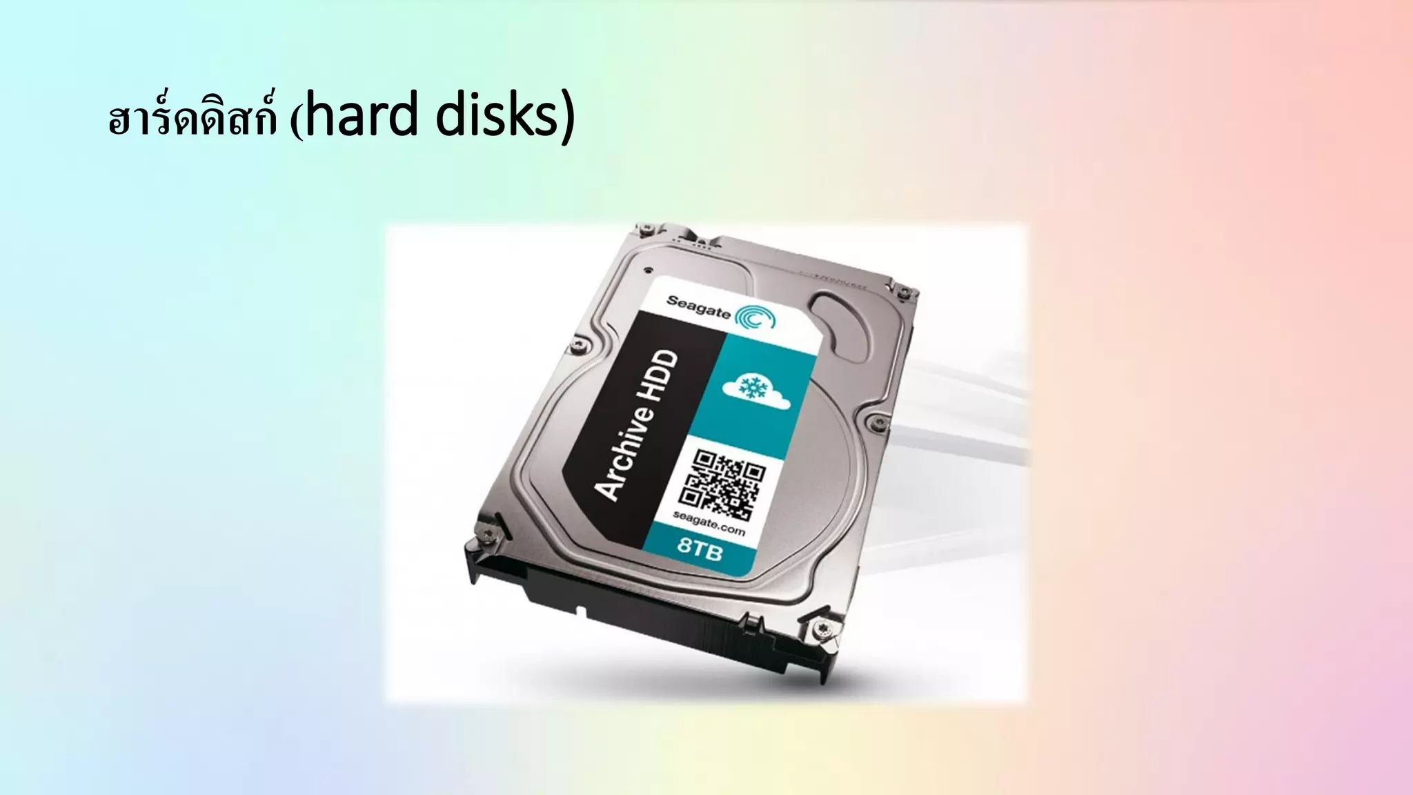 ฮาร์ดดิสก์ (hard disks)
 