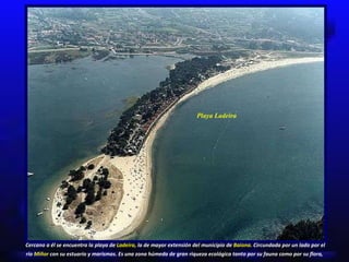 Playa Ladeira Cercano a él se encuentra la playa de  Ladeira,  la de mayor extensión del municipio de  Baiona.  Circundada por un lado por el río  Miñor  con su estuario y marismas. Es una zona húmeda de gran riqueza ecológica tanto por su fauna como por su flora,   