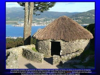 Las vivendas constan en general de un vestíbulo en el que suele haber un horno, en otras se encuentra en el interior, incrustado en la pared. Como elementos mas importantes, podemos destacar la  “lareira”  formada por una losa plana horizontal y tres levemente arqueadas, con bancos corridos y con la cubierta vegetal.  