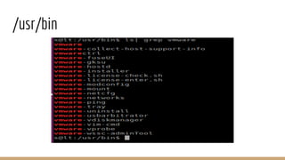 DeViL - Detect Virtual Machine in Linux by Sreelakshmi | PPTX