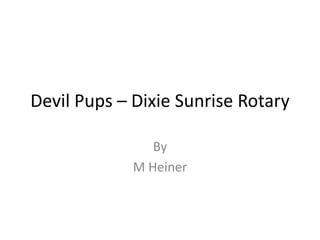 Devil Pups – Dixie Sunrise Rotary By M Heiner   