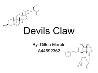 Devils Claw
 By: Dillon Marble
   A44692362
 