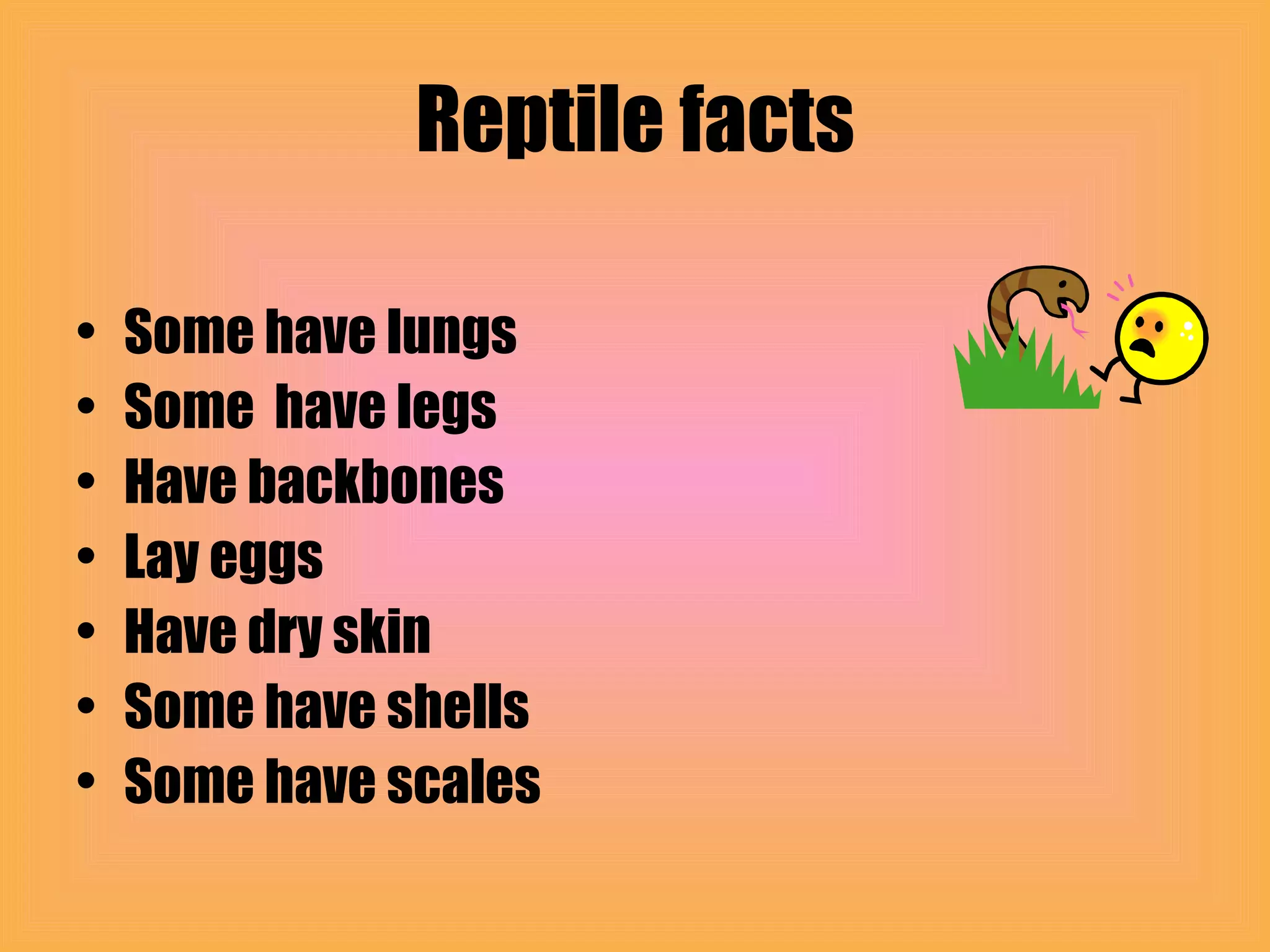 Reptiles | PPT
