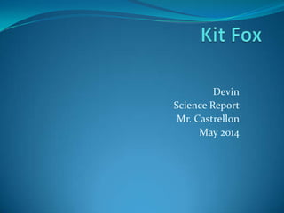 Devin
Science Report
Mr. Castrellon
May 2014
 