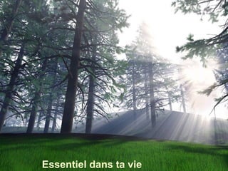 Essentiel dans ta vie