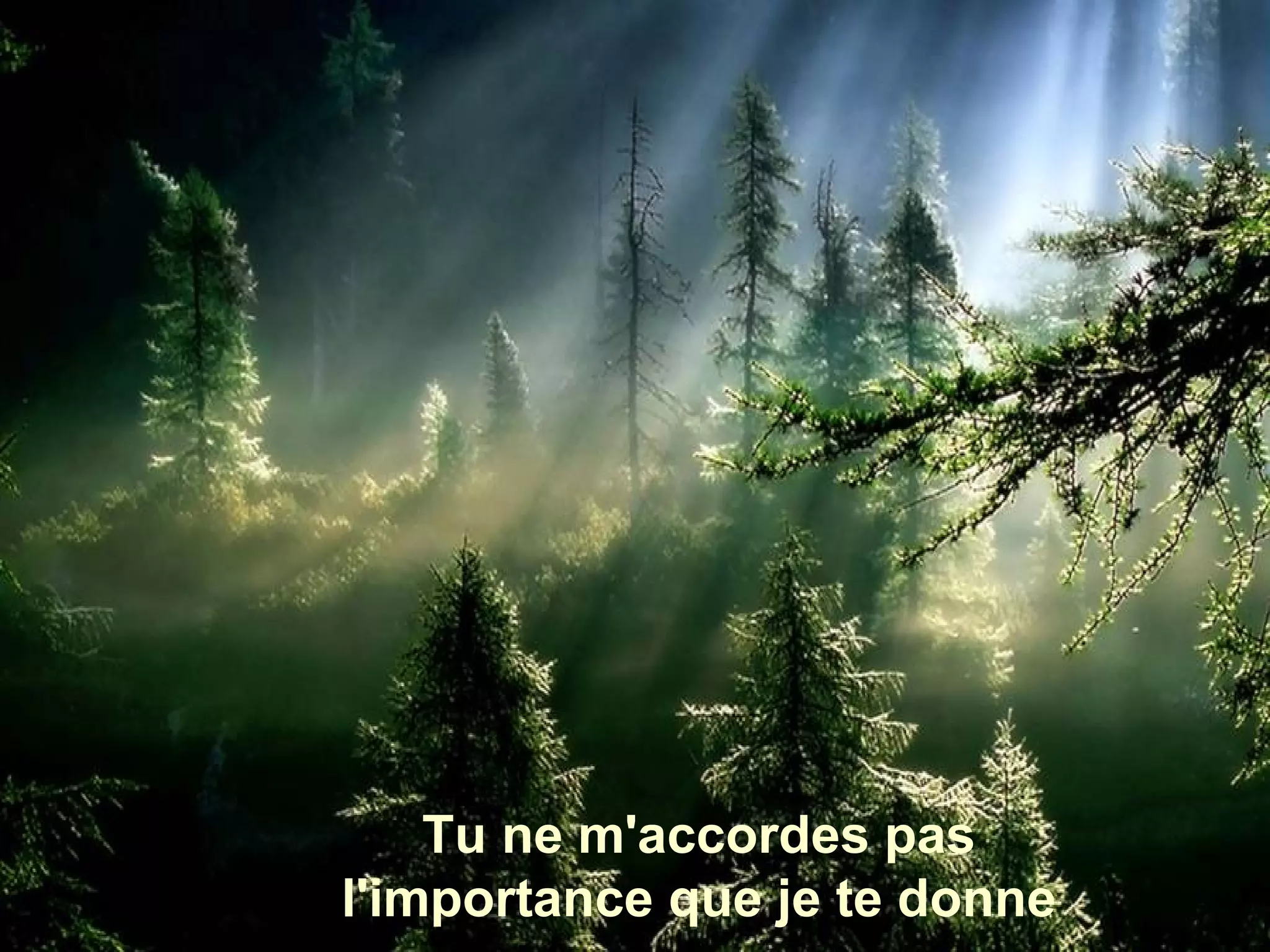 Tu ne m'accordes pas
l'importance que je te donne