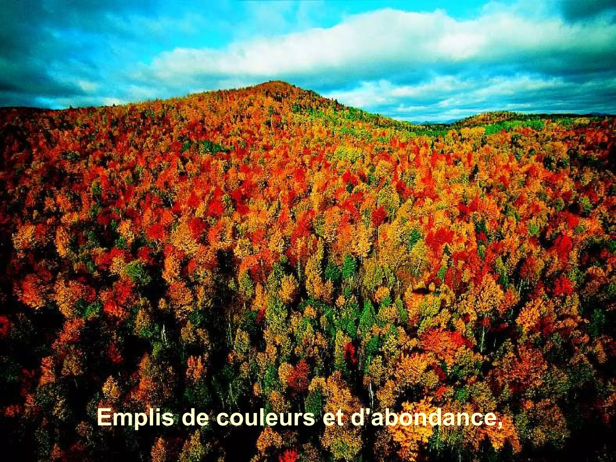 Emplis de couleurs et d'abondance,