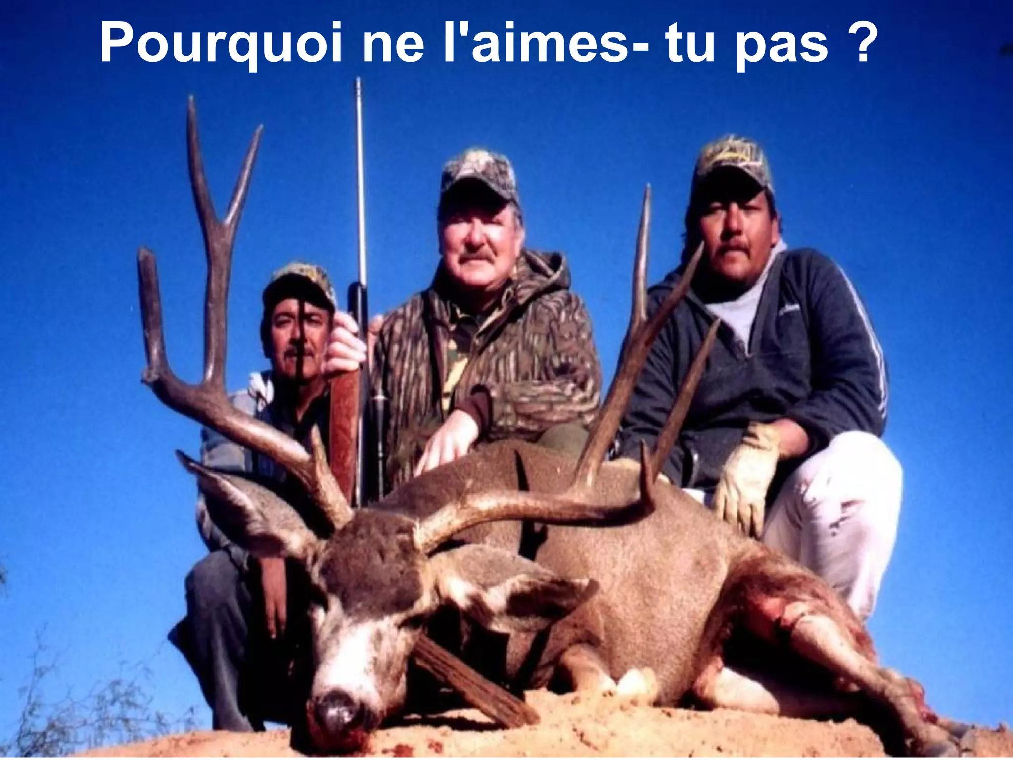 Pourquoi ne l'aimes- tu pas ?