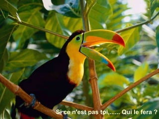 Si ce n'est pas toi,...... Qui le fera ? 