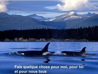 Fais quelque chose pour moi, pour toi  et pour nous tous 