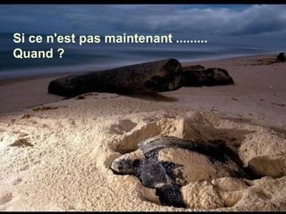 Si ce n'est pas maintenant ......... Quand ? 