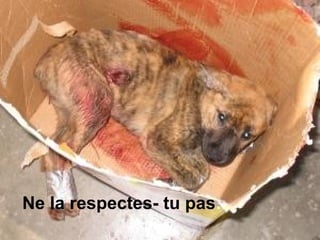 Ne la respectes- tu pas… 
 