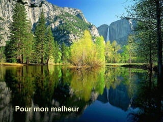Pour mon malheur 
 
