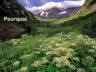 Pourquoi
 