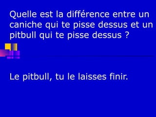 Quelle est la différence entre un
caniche qui te pisse dessus et un
pitbull qui te pisse dessus ?



Le pitbull, tu le laisses finir.
 