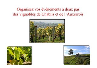 ZENITH DE CAEN
Organisez vos événements à deux pas
des vignobles de Chablis et de l’Auxerrois
 