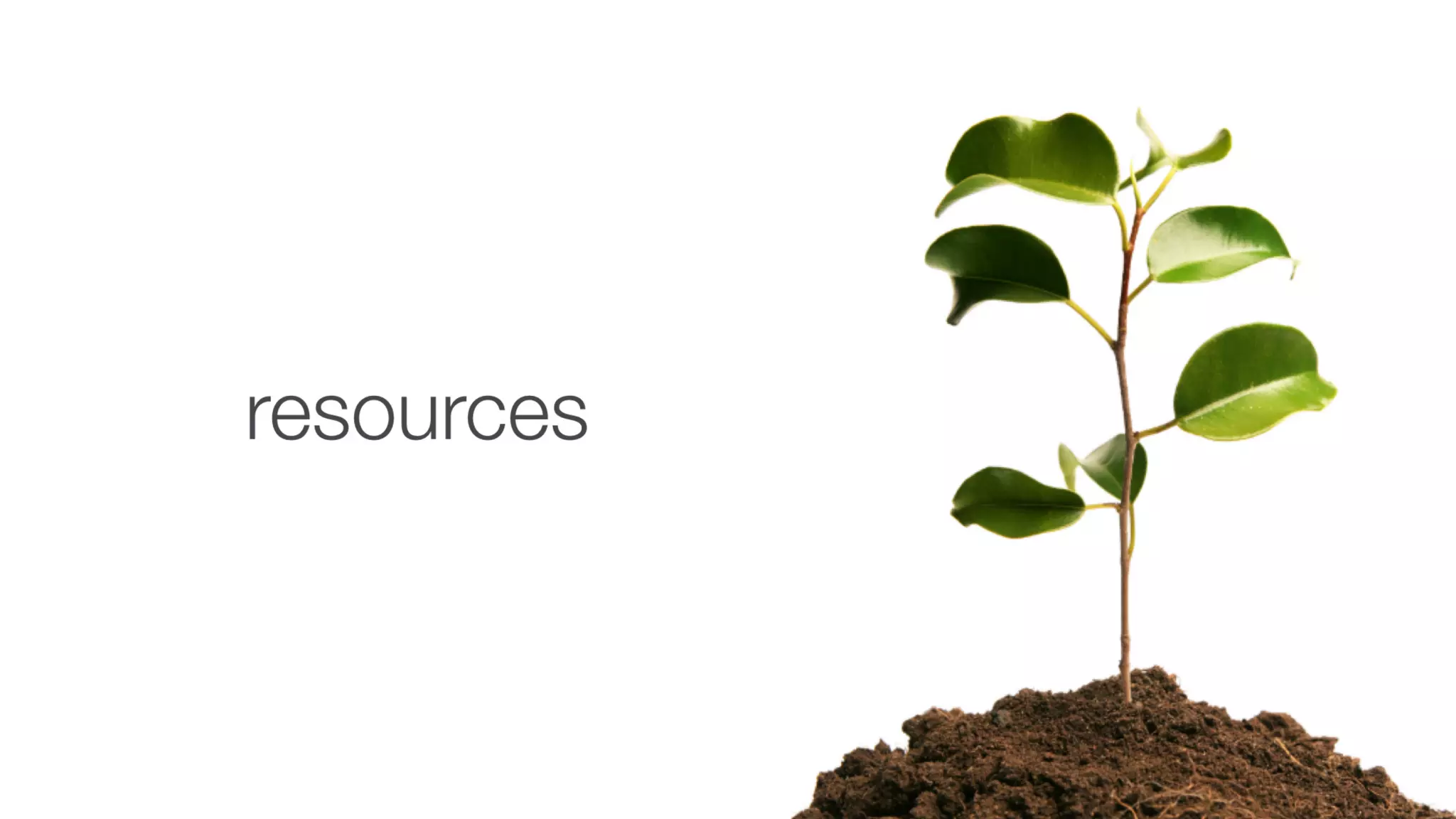 Future of Learning: Where Should I Focus Today #DevLearn17