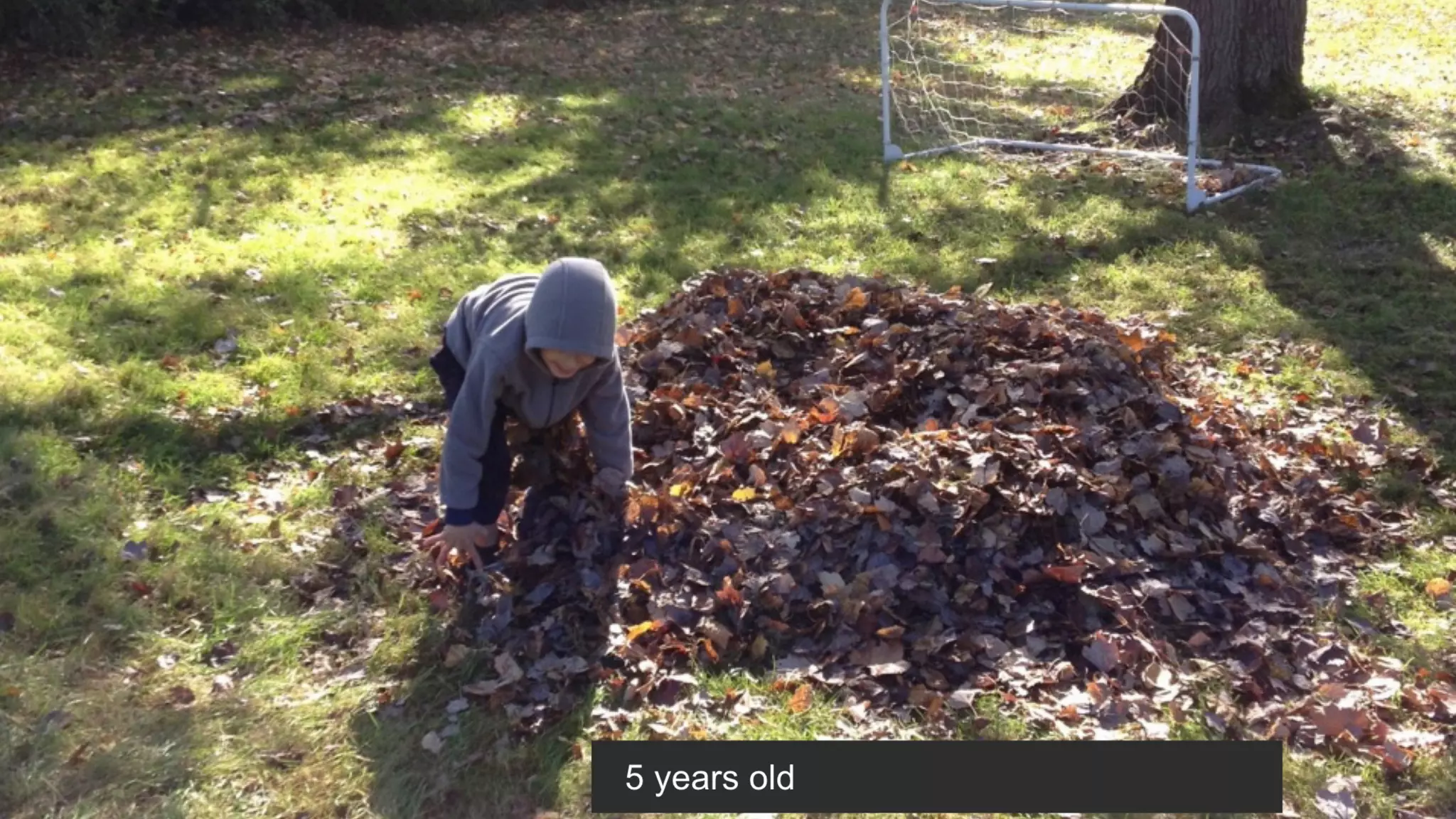 Future of Learning: Where Should I Focus Today #DevLearn17