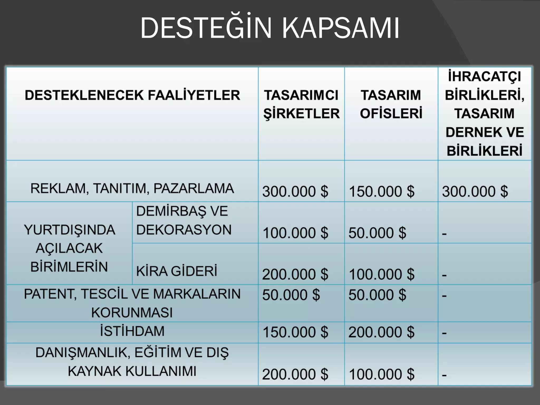DESTEĞİN KAPSAMI 