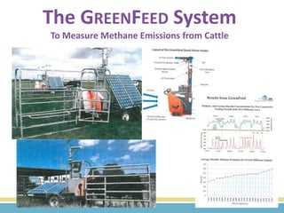 Greenfeed System Understanding the Impact of Beef Grazing on Climate Change | PPTX