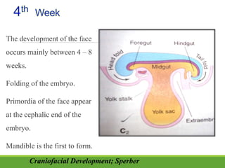 The development of the face
occurs mainly between 4 – 8
weeks.
Folding of the embryo.
Primordia of the face appear
at the cephalic end of the
embryo.
Mandible is the first to form.
Craniofacial Development; Sperber
 