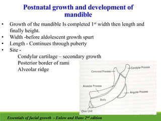 Postnatal growth and development of
mandible
• Growth of the mandible Is completed 1st width then length and
finally height.
• Width -before aldolescent growth spurt
• Length - Continues through puberty
• Site -
Condylar cartilage – secondary growth
Posterior border of rami
Alveolar ridge
Essentials of facial growth - Enlow and Hans 2nd edition
 
