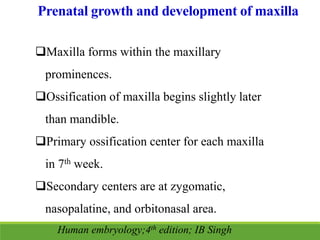 Prenatal growth and development of maxilla
Maxilla forms within the maxillary
prominences.
Ossification of maxilla begins slightly later
than mandible.
Primary ossification center for each maxilla
in 7th week.
Secondary centers are at zygomatic,
nasopalatine, and orbitonasal area.
Human embryology;4th edition; IB Singh
 