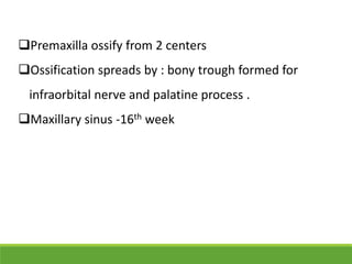Premaxilla ossify from 2 centers
Ossification spreads by : bony trough formed for
infraorbital nerve and palatine process .
Maxillary sinus -16th week
 