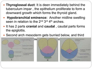 Devlopment of face and its abnormalites | PPTX