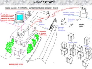 MARINE RANCHING 